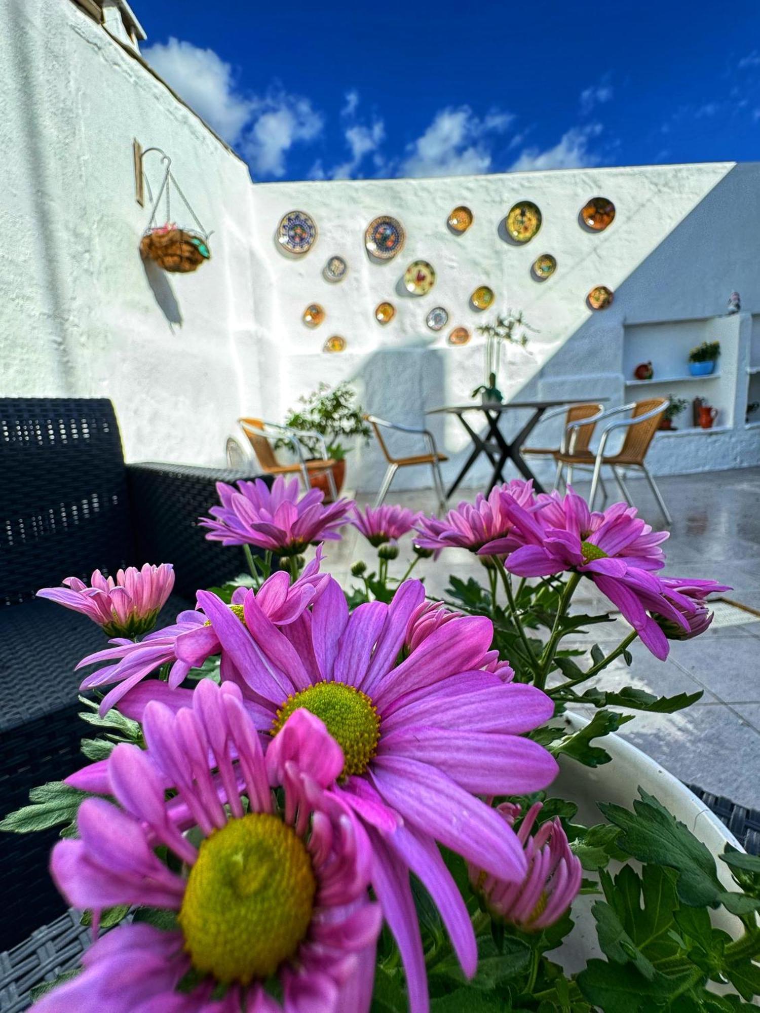 Villa Casa Solua Reguengos de Monsaraz Esterno foto